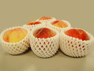 フルーツキャップ　１００個入り　シングル１１ｃｍ　白