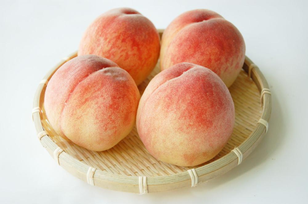 山形県東根市産　川中島白桃　中玉　約５ｋｇ　（１８～２２玉入）【注文期限：２０２６年９月５日】