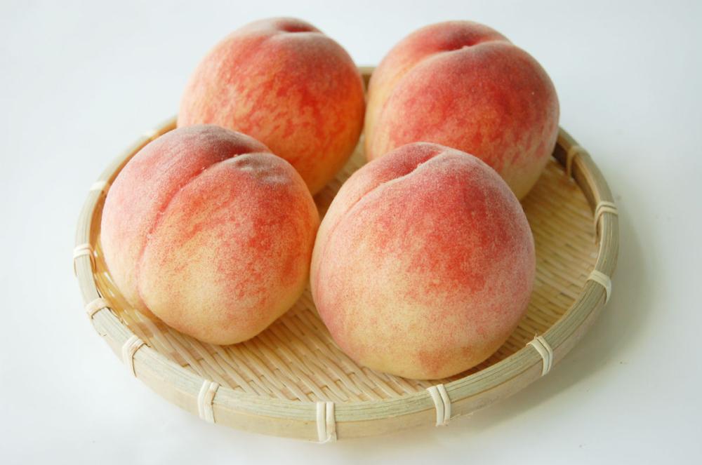 山形県東根市産　川中島白桃　中玉　約３ｋｇ　（１１～１４玉入）【注文期限：２０２６年９月５日】