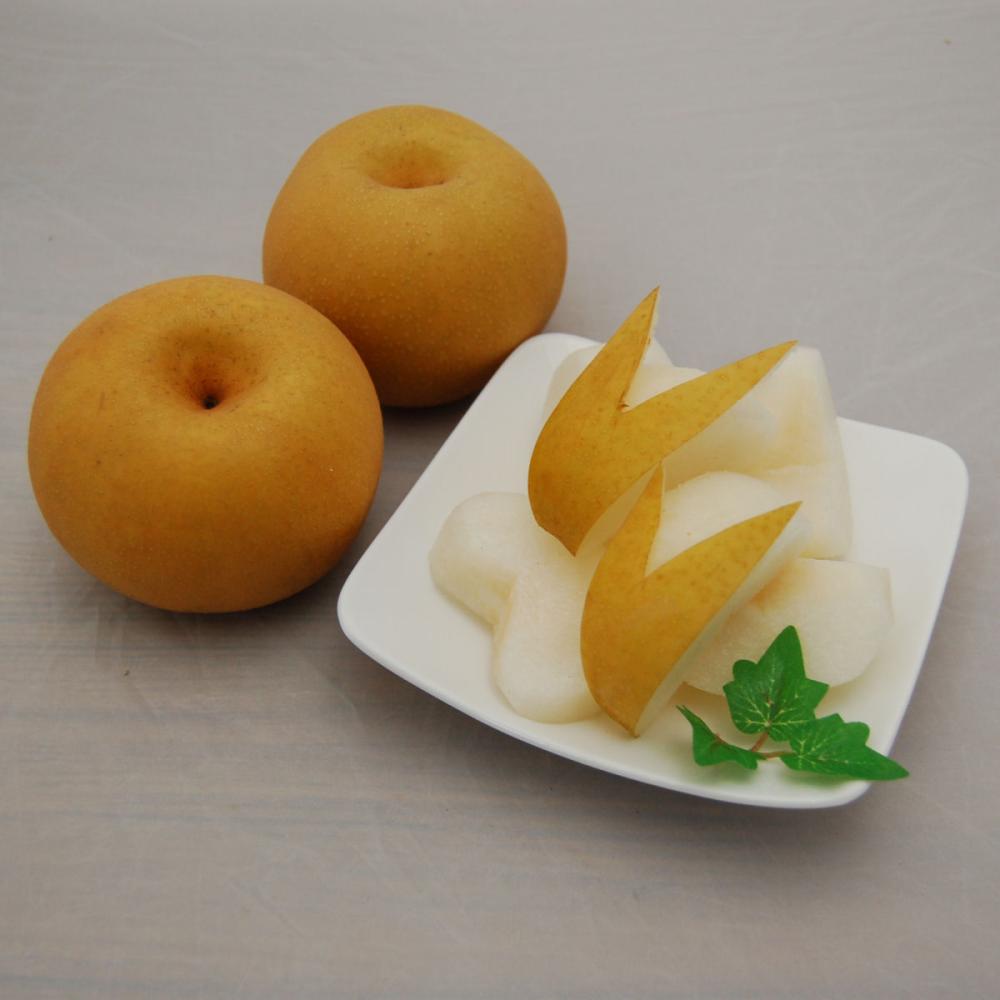 【注文期限：9月5日】新潟県産　小杉農園こだわりの幸水梨　約５ｋｇ（１２～１４玉入）