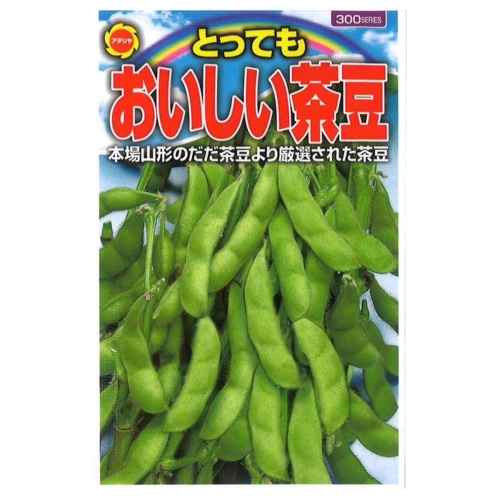 エダマメ種子　とってもおいしい茶豆