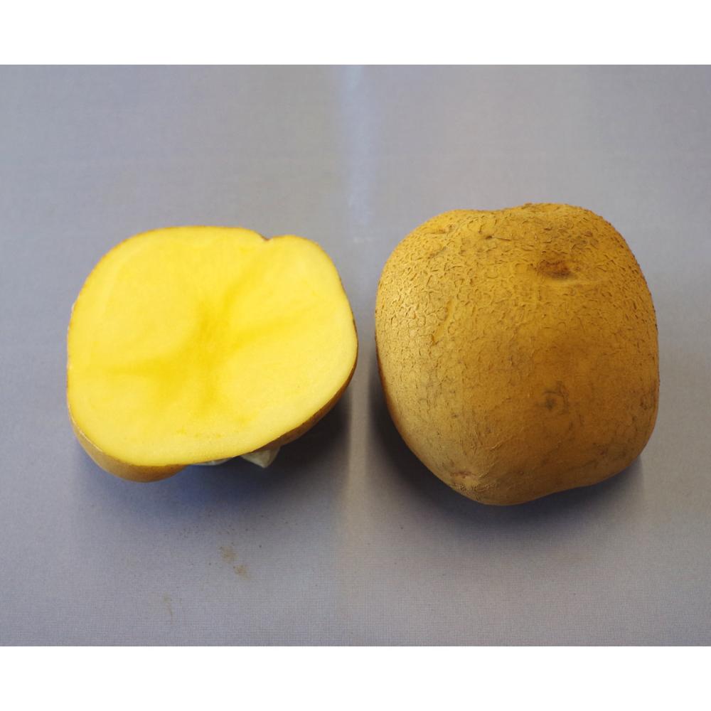 【種ジャガイモ予約】　キタアカリ　Ｌ玉（１２０～１９０ｇ）　１０ｋｇ　【申込期限：１月２５日】