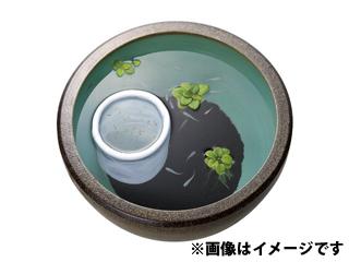 スドー　メダカの浮くネット　（小）