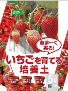 いちご培養土 ５ｌの通販 ホームセンター コメリドットコム