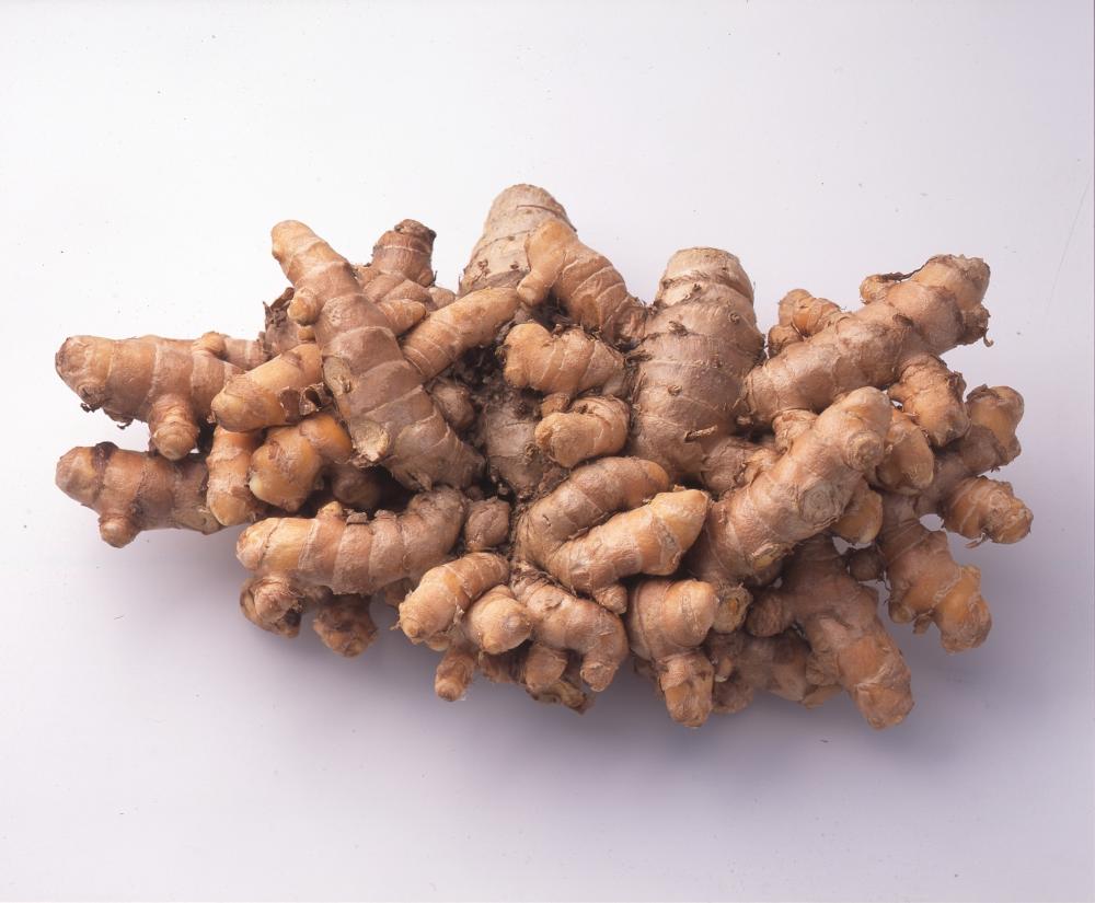 【春予約】　国産　秋ウコン　１５０ｇ　【引渡予定日：４／１１（土）～１９（日）】