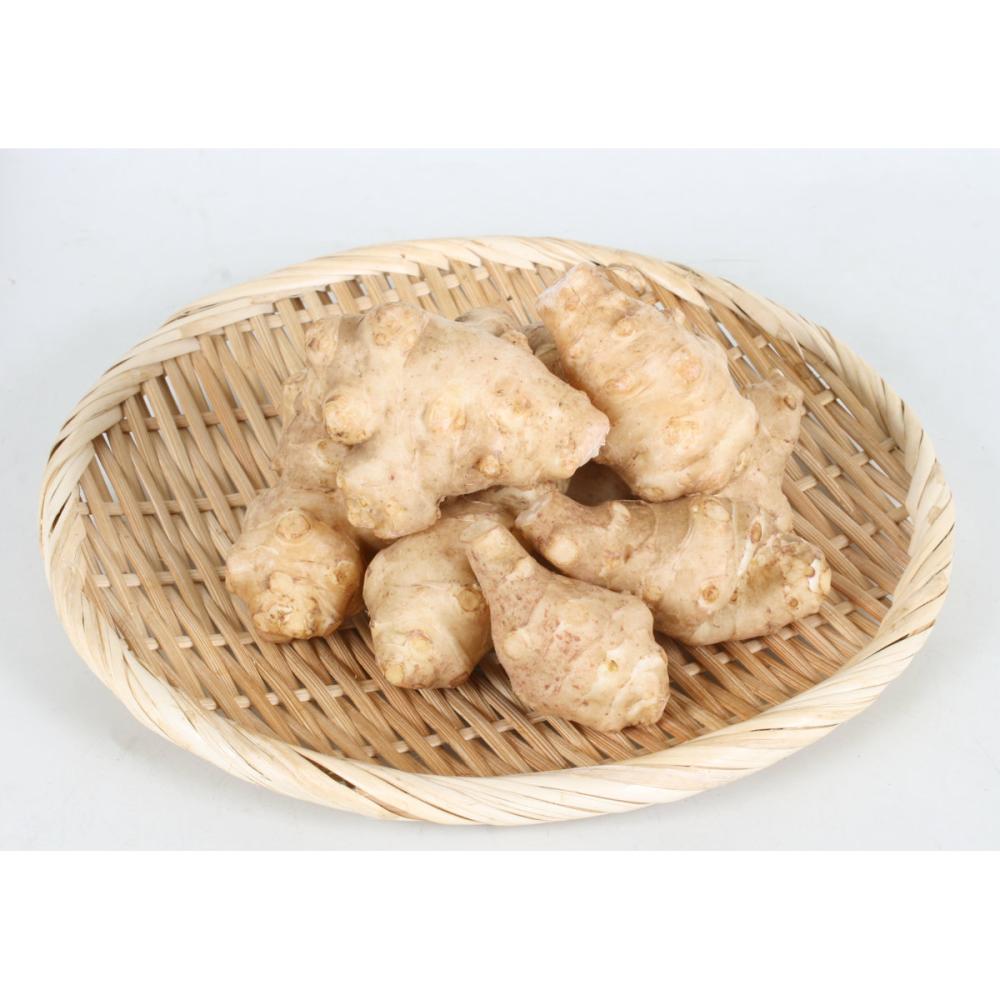 【野菜予約】　菊芋　５００ｇ　（国産）　【申込期限：３月１日】