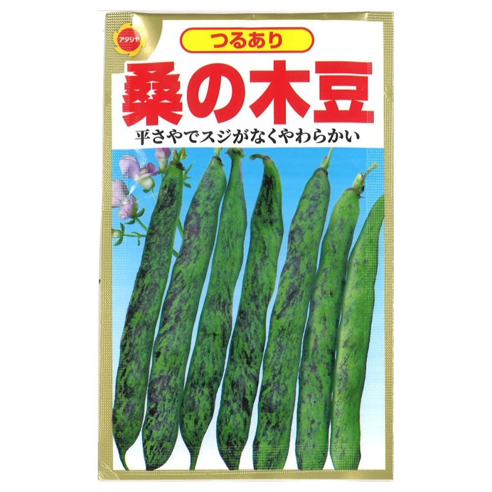 インゲン種子　桑の木豆
