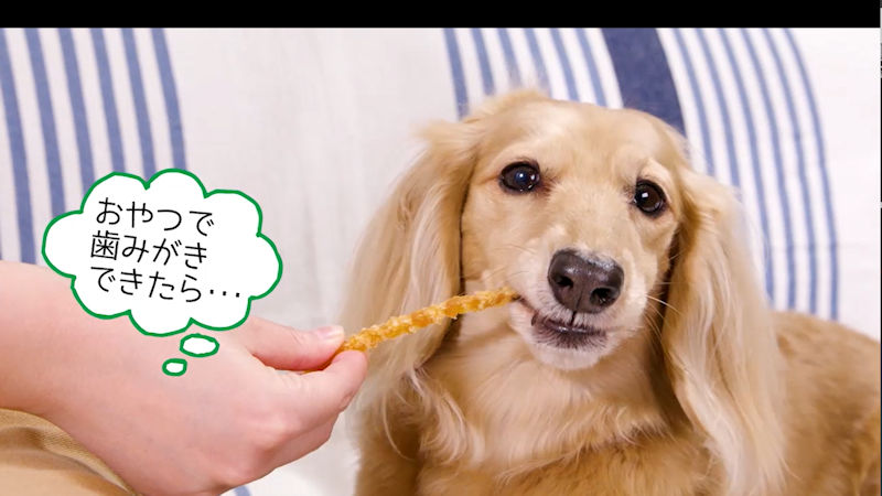 商品動画サムネイル