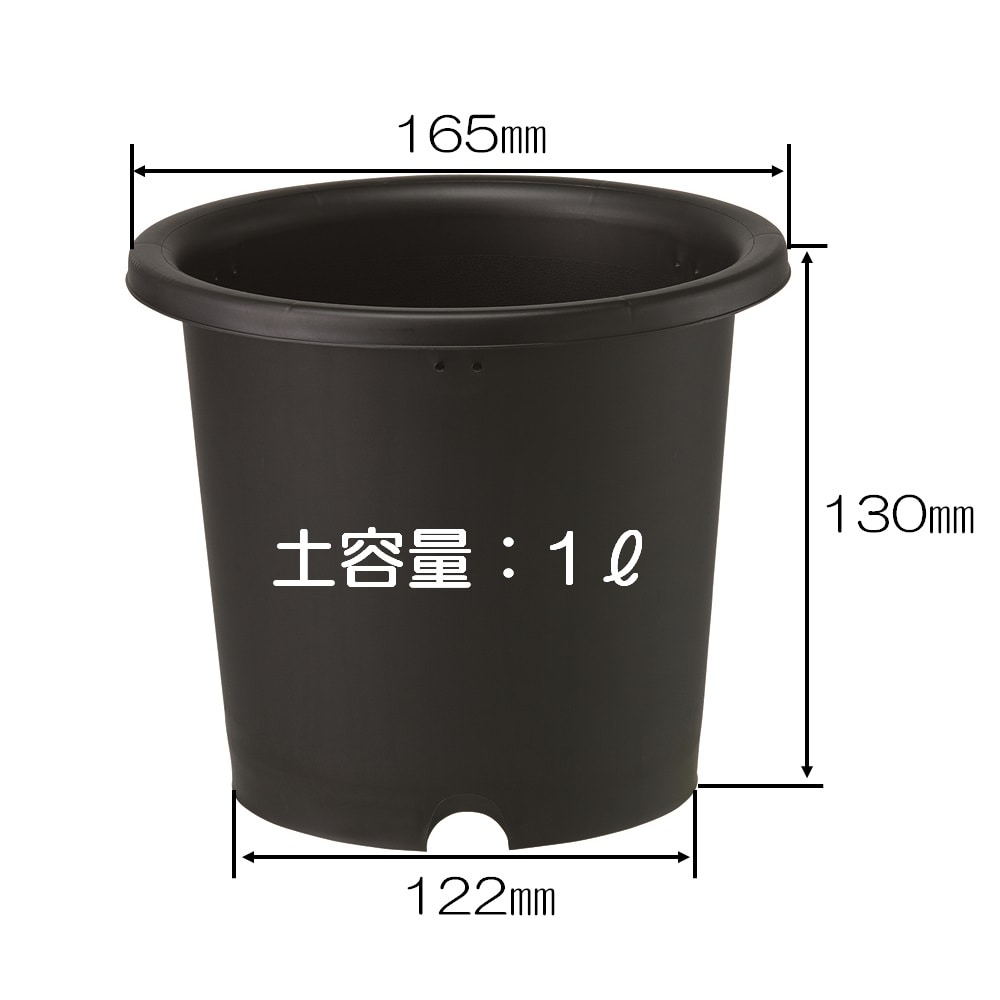 菊鉢　５号　ブラック