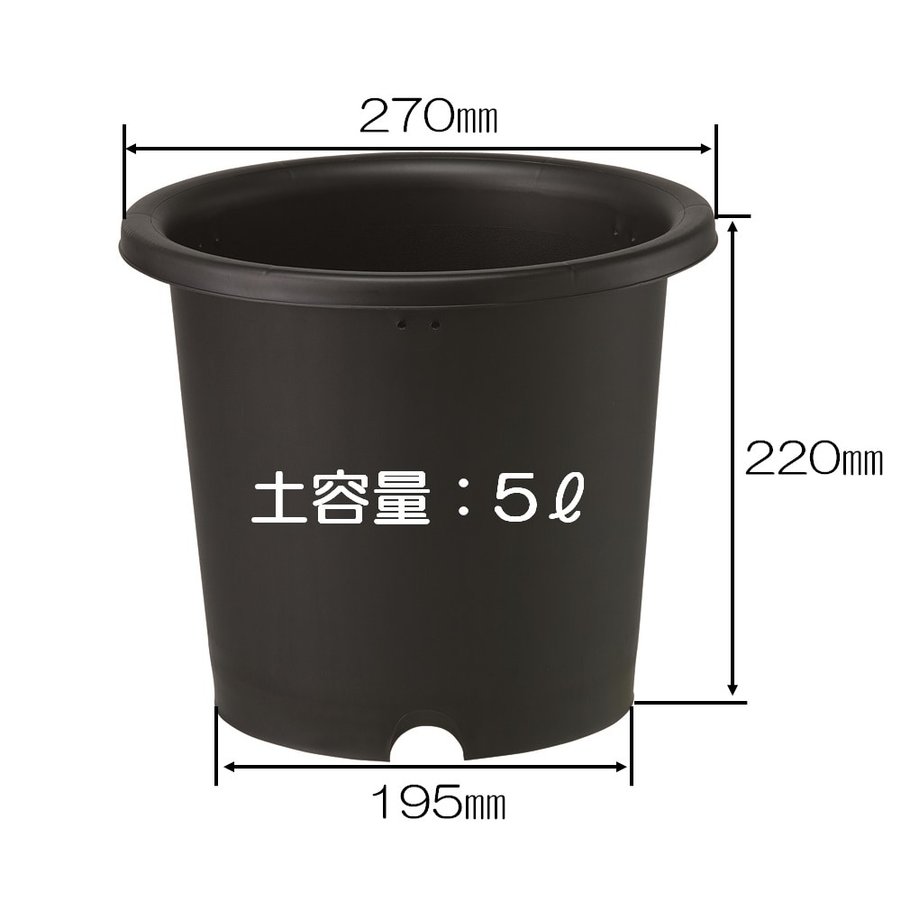 菊鉢　８号　ブラック