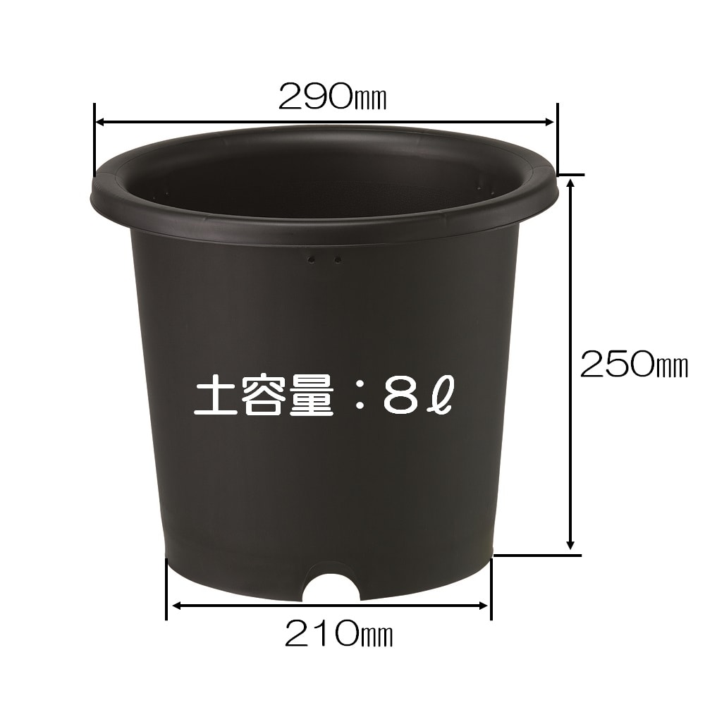 菊鉢　９号　ブラック