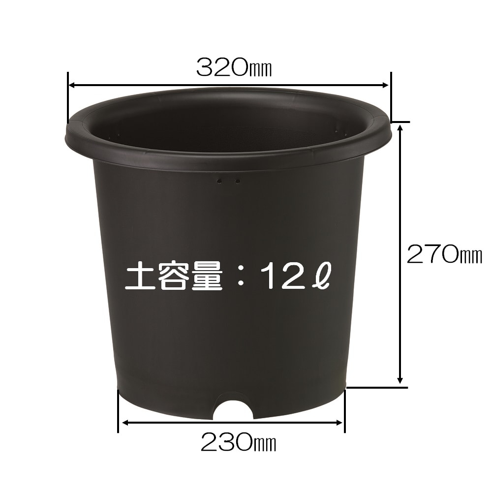 菊鉢　１０号　ブラック