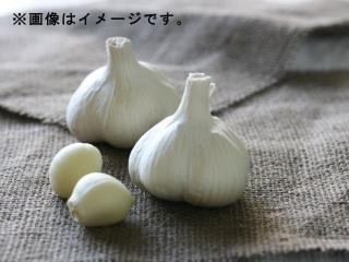 青森県産　ホワイト六片　わけあり規格　１ｋｇ