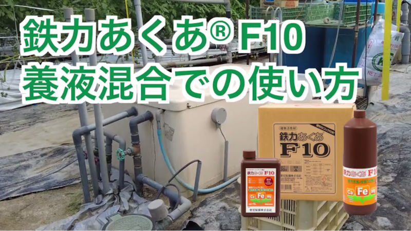 商品動画サムネイル