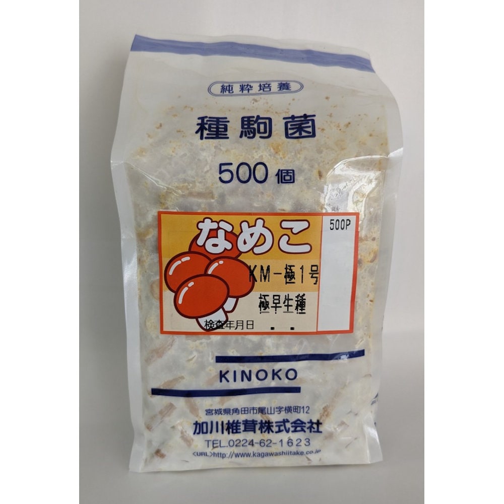 【キノコ予約】　なめこ種駒　極早生１号　極早生種　５００Ｐ　【申込期限：２月２２日】