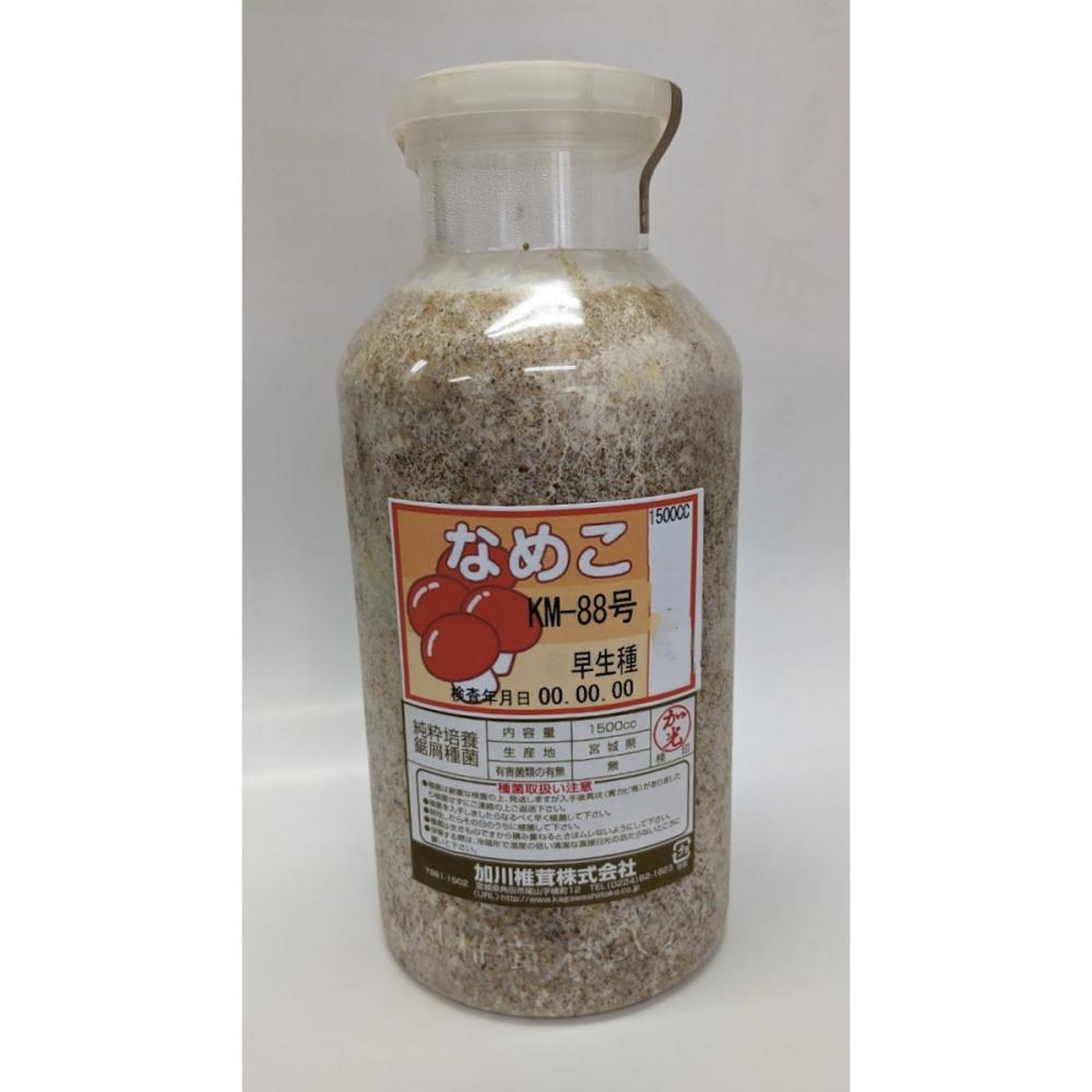 【キノコ予約】　なめこおが菌　ＫＭ－８８号　早生種　１５００ｃｃ　【申込期限：２月２２日】