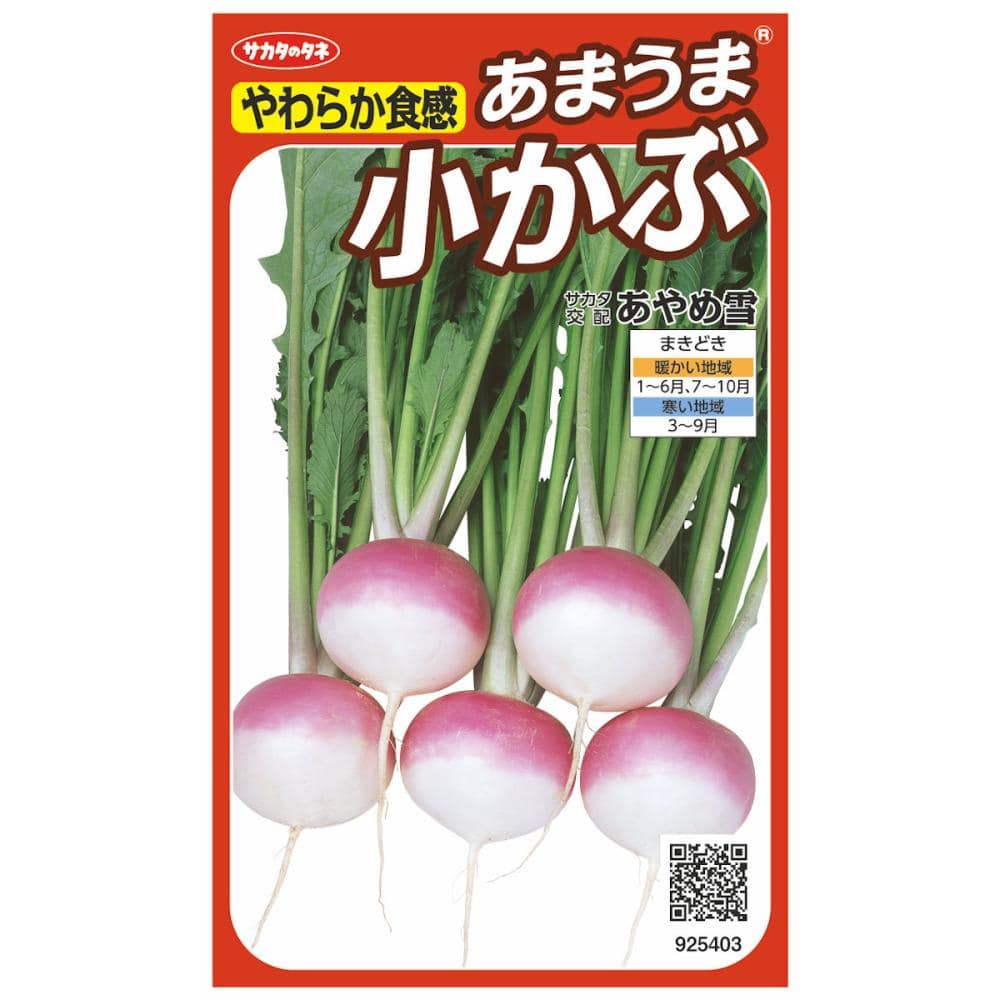 あまうま小かぶ　あやめ雪