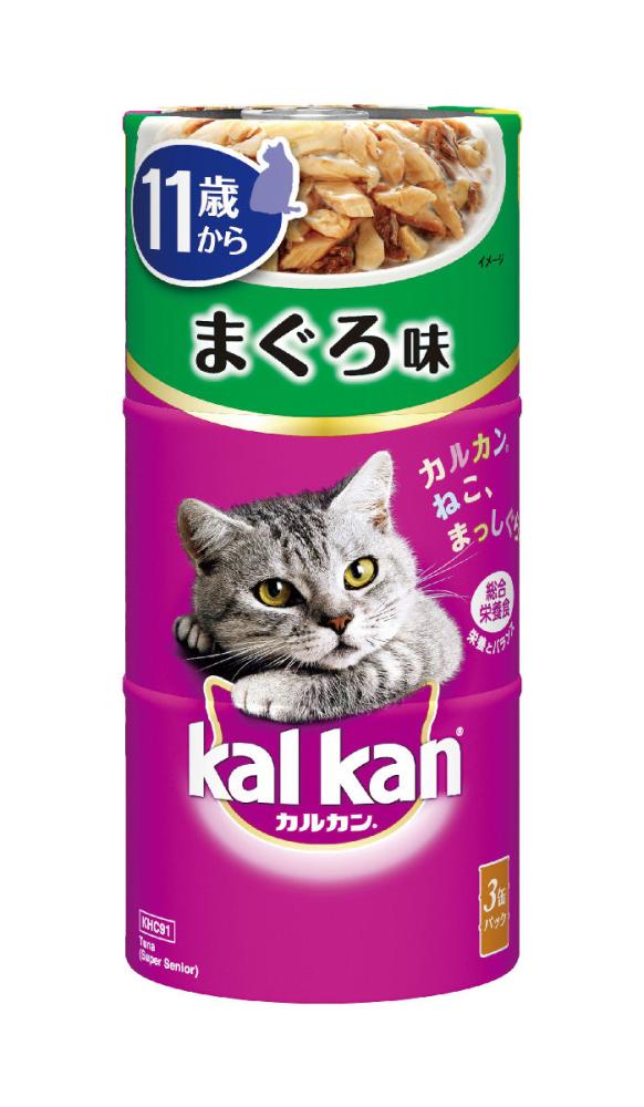 １１歳から　まぐろ