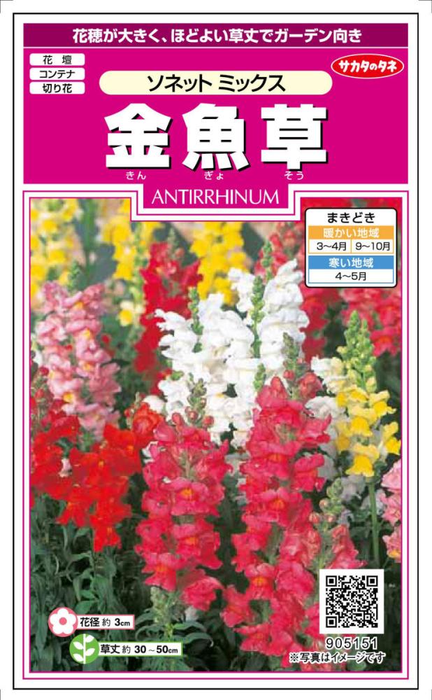 金魚草　ソネットミックス