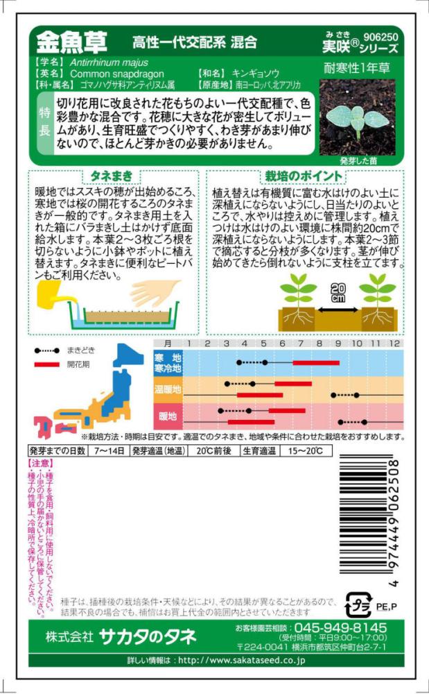 草花種子　金魚草　高性一代交配系混合