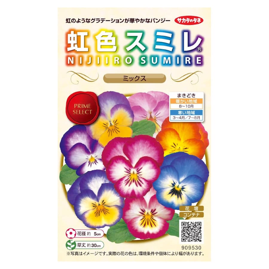 虹色スミレ　ミックス