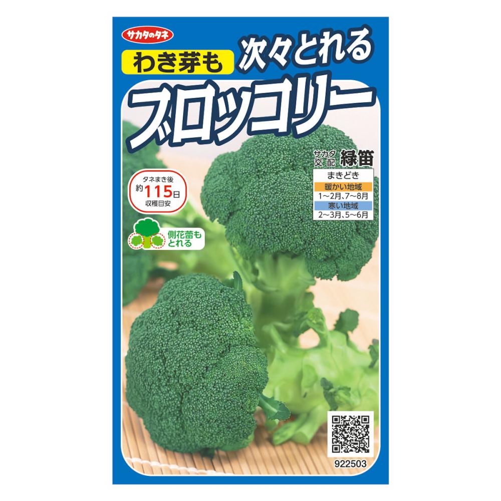 サカタのタネ　ブロッコリー種子　つぎつぎとれるブロッコリー　緑笛