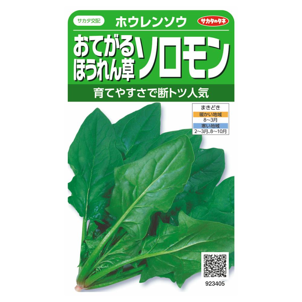 おてがるほうれん草　ソロモン