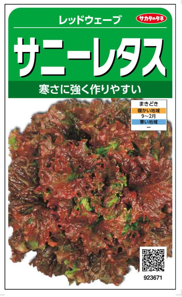 サニーレタス　レッドウェーブ