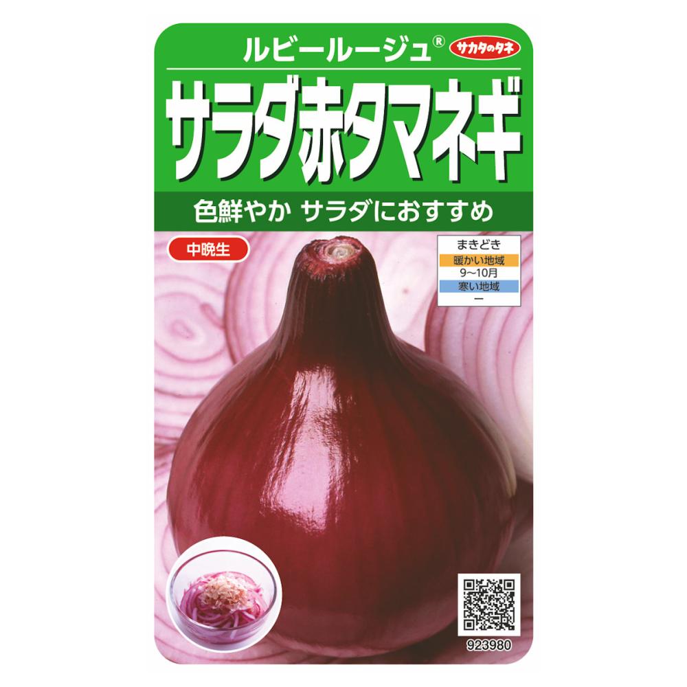 サラダ赤タマネギ　ルビールージュ