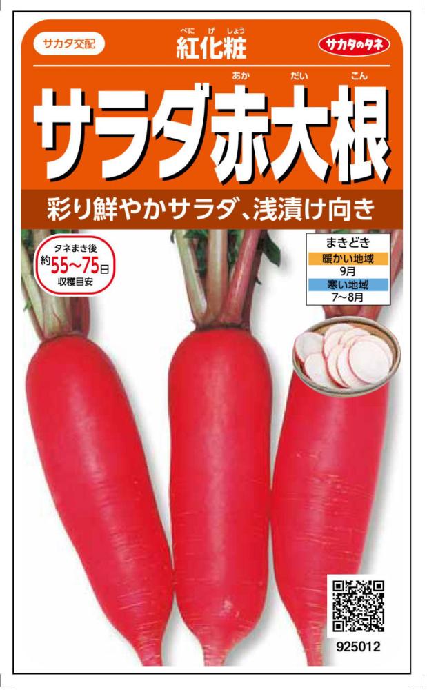 サラダ赤大根　紅化粧　　　　　　　　　　　　　　　