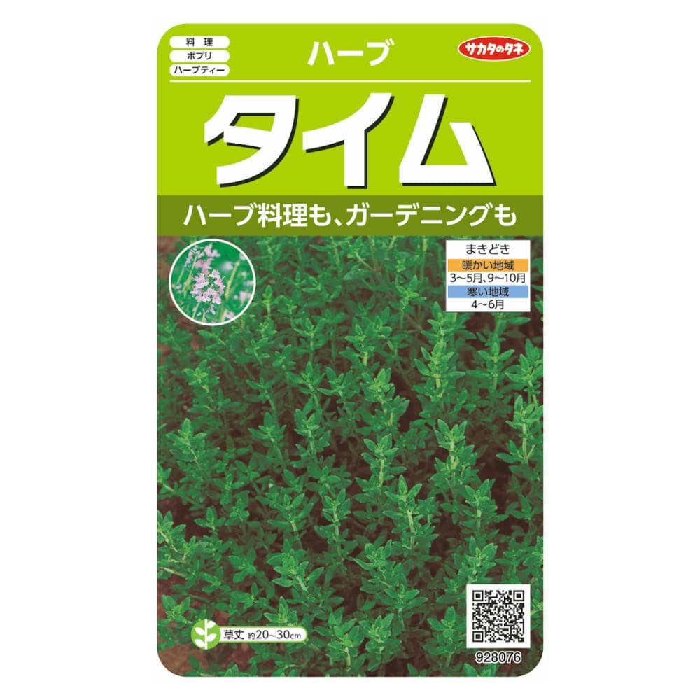 ハーブ　タイム
