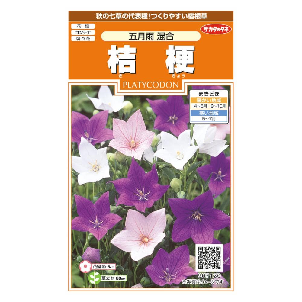 桔梗 五月雨混合 の通販 | ホームセンター コメリドットコム