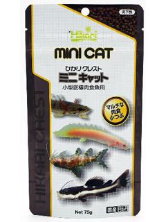 キョーリン　ひかりクレスト　ミニキャット　小型底棲肉食魚　７５ｇ