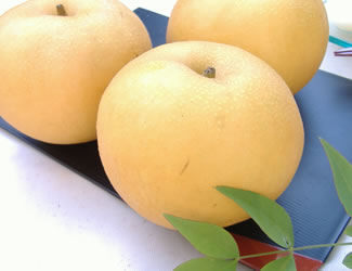 新潟県加茂市産　南水梨　約３ｋｇ（６～９玉入）【注文期限：１０月５日】