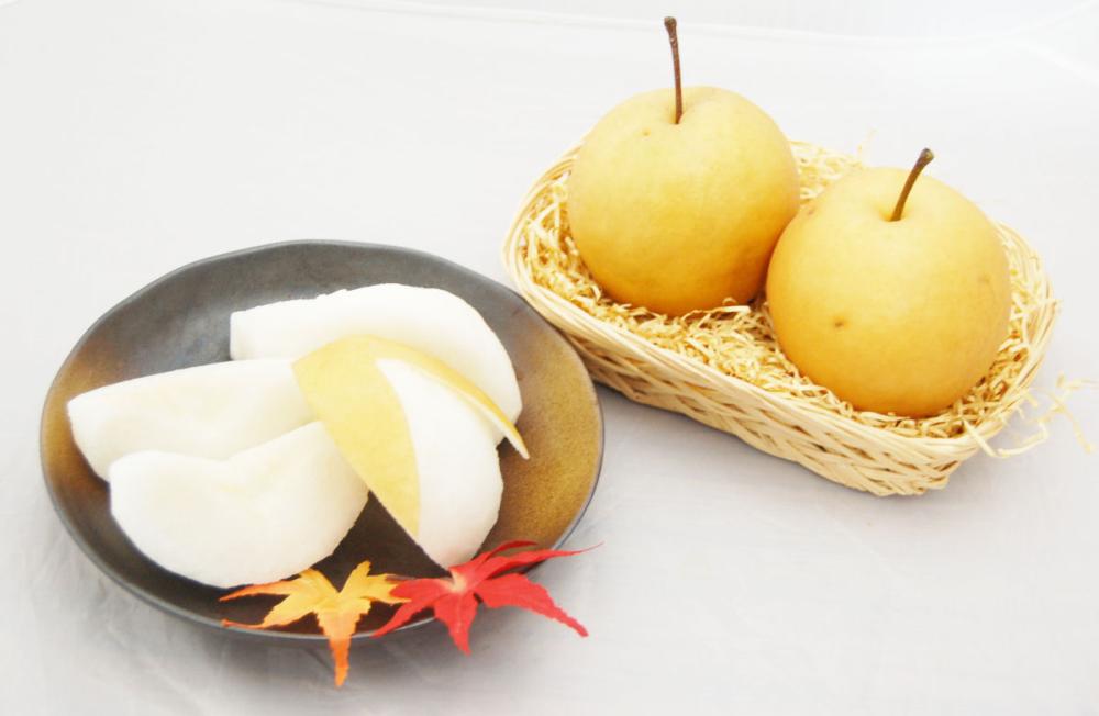 新潟県加茂市産　新高梨　約５ｋｇ　（７～１０玉入）【注文期限：10月31日】