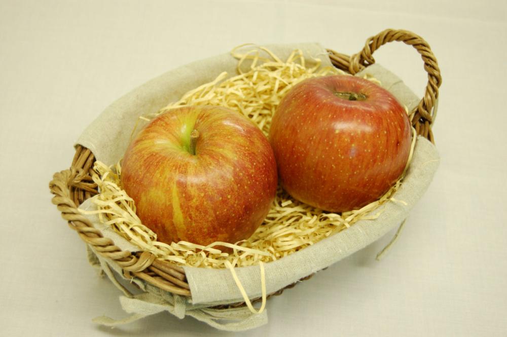 岩手県花巻市石鳥谷産　つがる　約３ｋｇ（１０～１２玉入り）家庭用【注文期限：2026年9月20日】