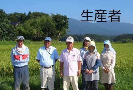 新潟県産　令和５年度　佐渡のコシヒカリ　精米５ｋｇ【注文期限：通年】