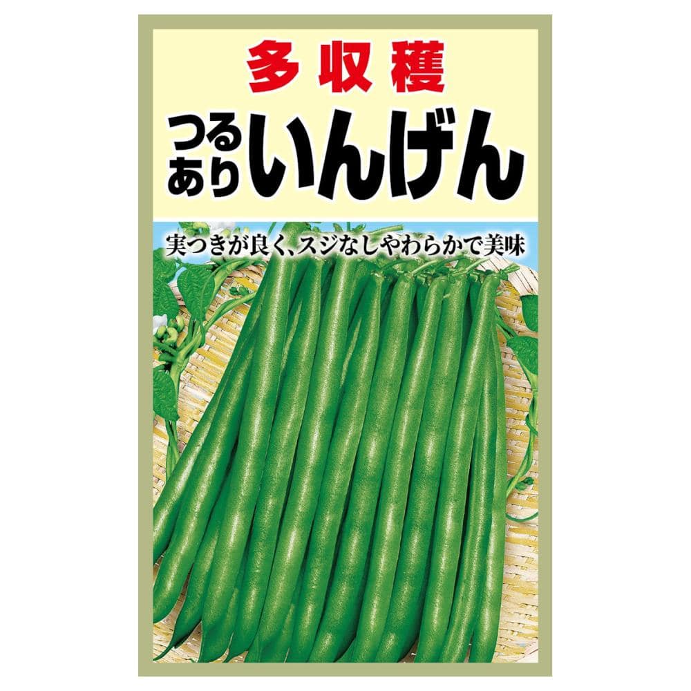 インゲン種子　　つるありいんげん多収穫