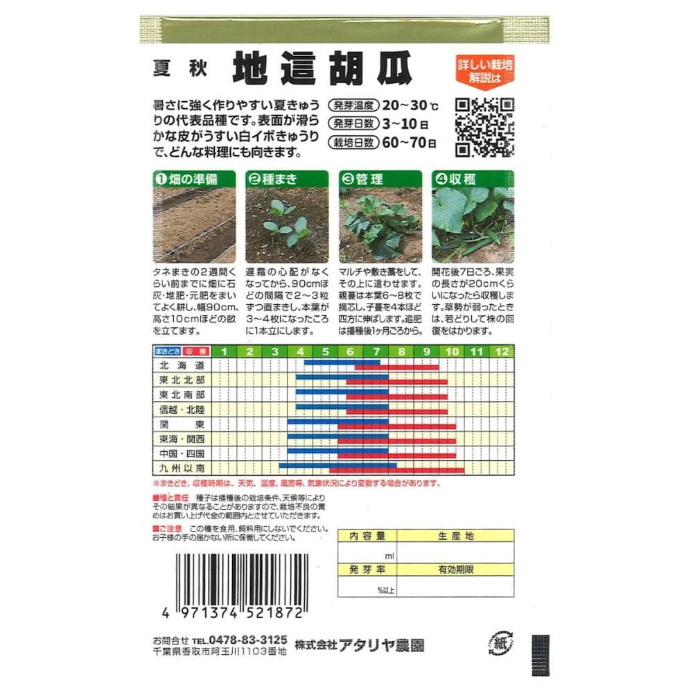 キュウリ種子　　地這胡瓜