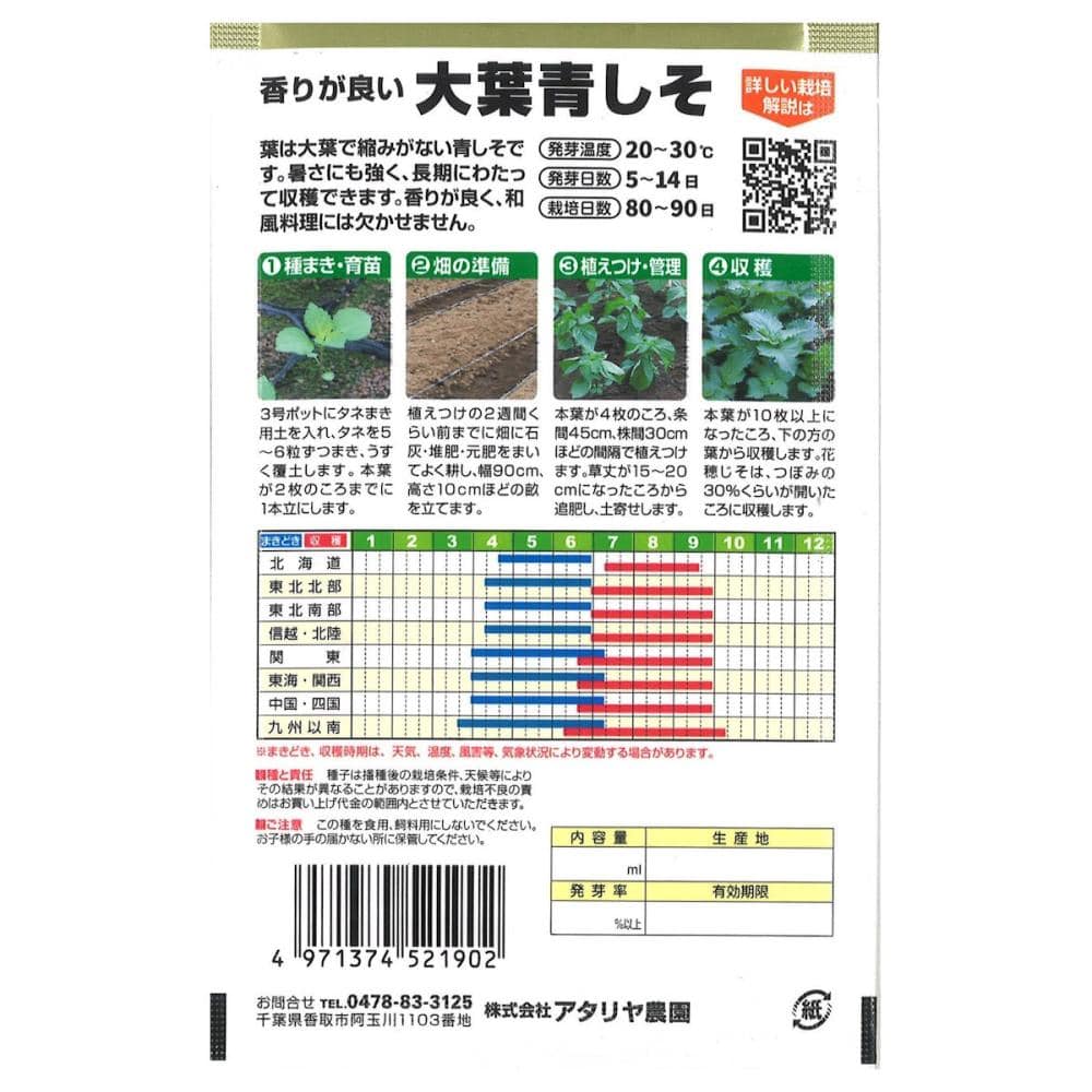 シソ種子　　大葉青しそ