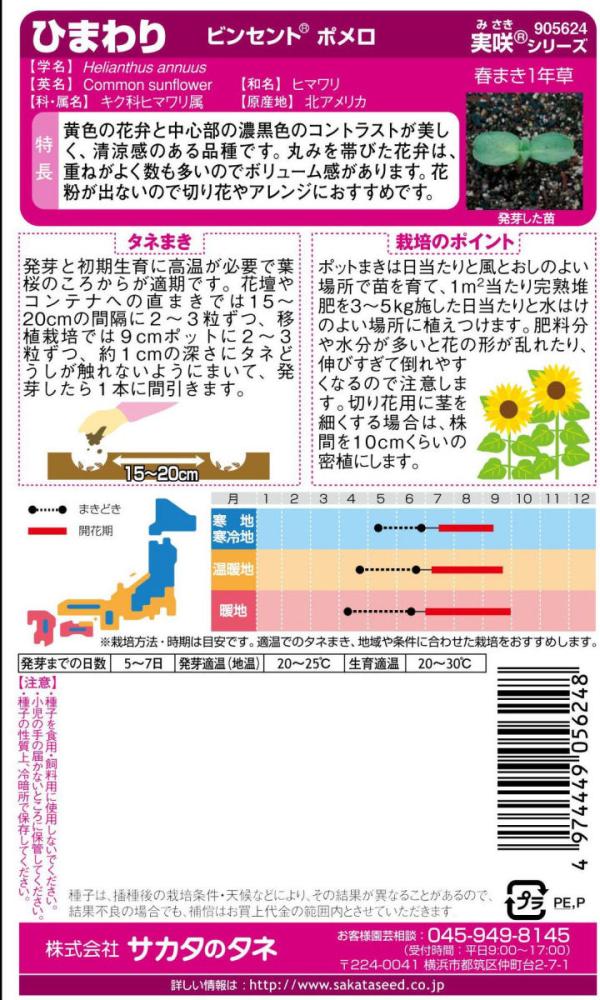 ヒマワリ種子　ビンセント　ポメロ