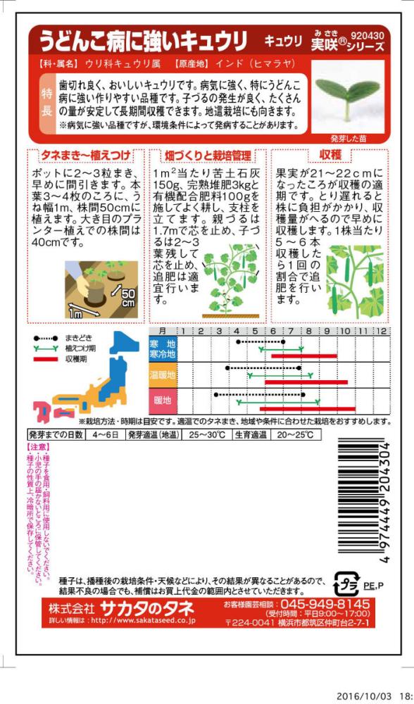 キュウリ種子　うどんこ病に強いキュウリ