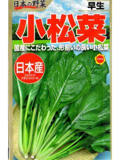 コマツナ種子　日本の野菜　早生小松菜