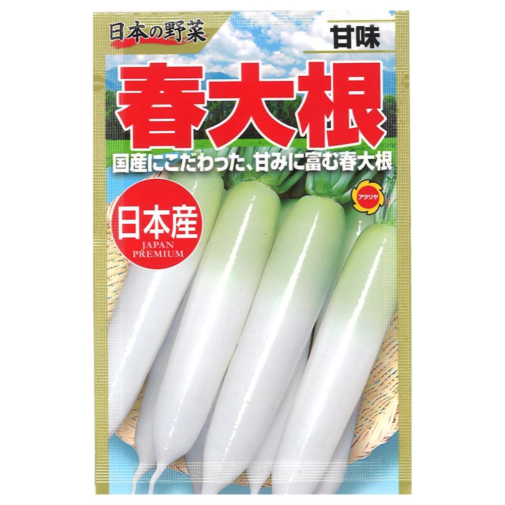 ダイコン種子　日本の野菜　甘味春大根