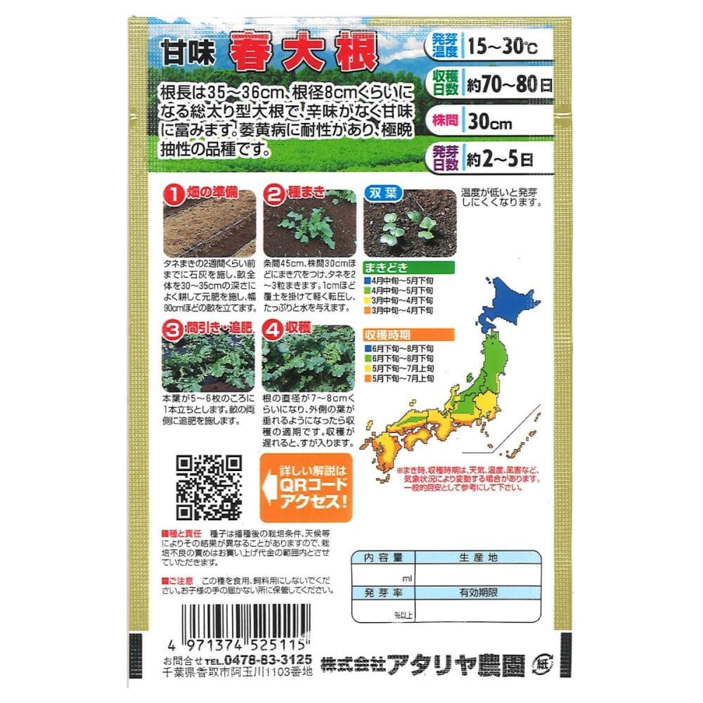 ダイコン種子　日本の野菜　甘味春大根