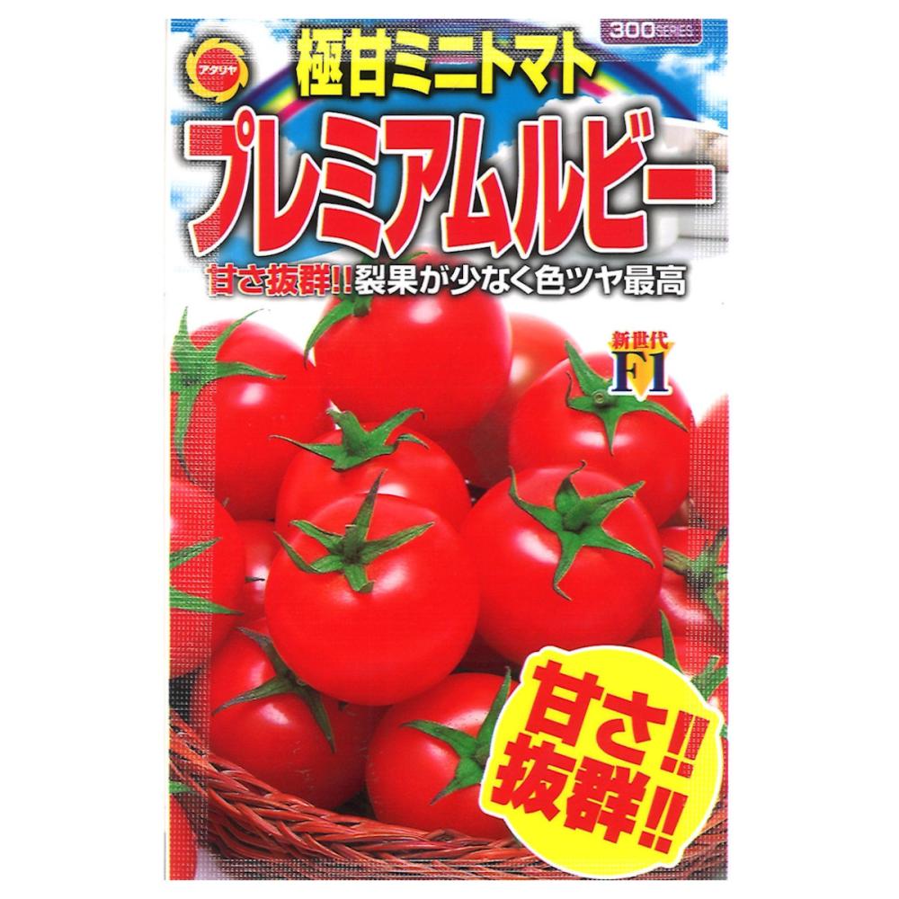トマト種子　極甘ミニトマト　スイートルビー