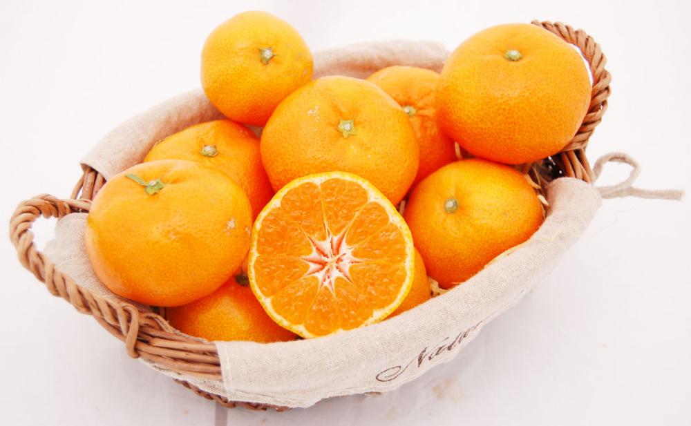 南柑２０号　家庭用　Ｓ～Ｌサイズ混合　約１０ｋｇ（１２０玉～１３０玉入）【愛媛県産】【注文期限：２０２５年１２月２５日】