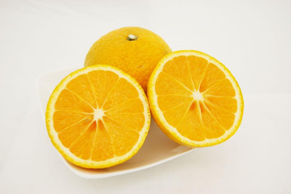 スイートスプリング　サイズ混合　約４ｋｇ（１５～１８玉入）【愛媛県産】【注文期限：２０２６年２月２０日】