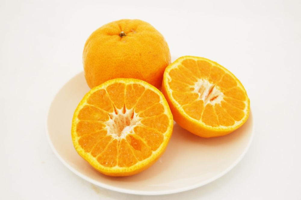 愛媛県産ポンカン　家庭用　サイズ混合　約９ｋｇ（６０～６５玉入）【愛媛県産】【注文期限：２０２６年２月１５日】