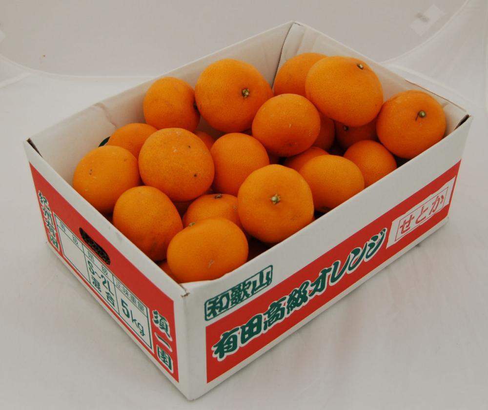 秋田県産　赤玉　美石　➕4点セット 佐渡赤玉石 ｜石の販売専門店【vec stone club】